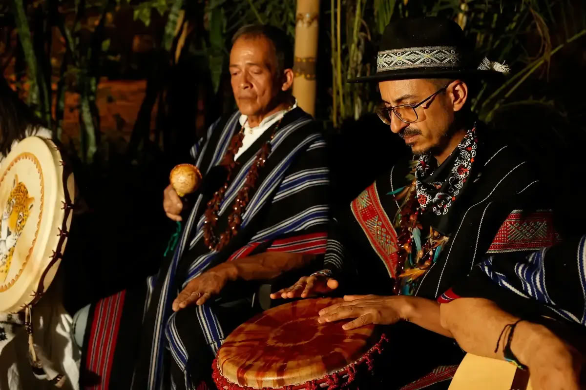 Retiro Tradicional de Ayahuasca en Austria 3 días