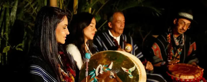Retiro Tradicional de Ayahuasca en Austria 3 días