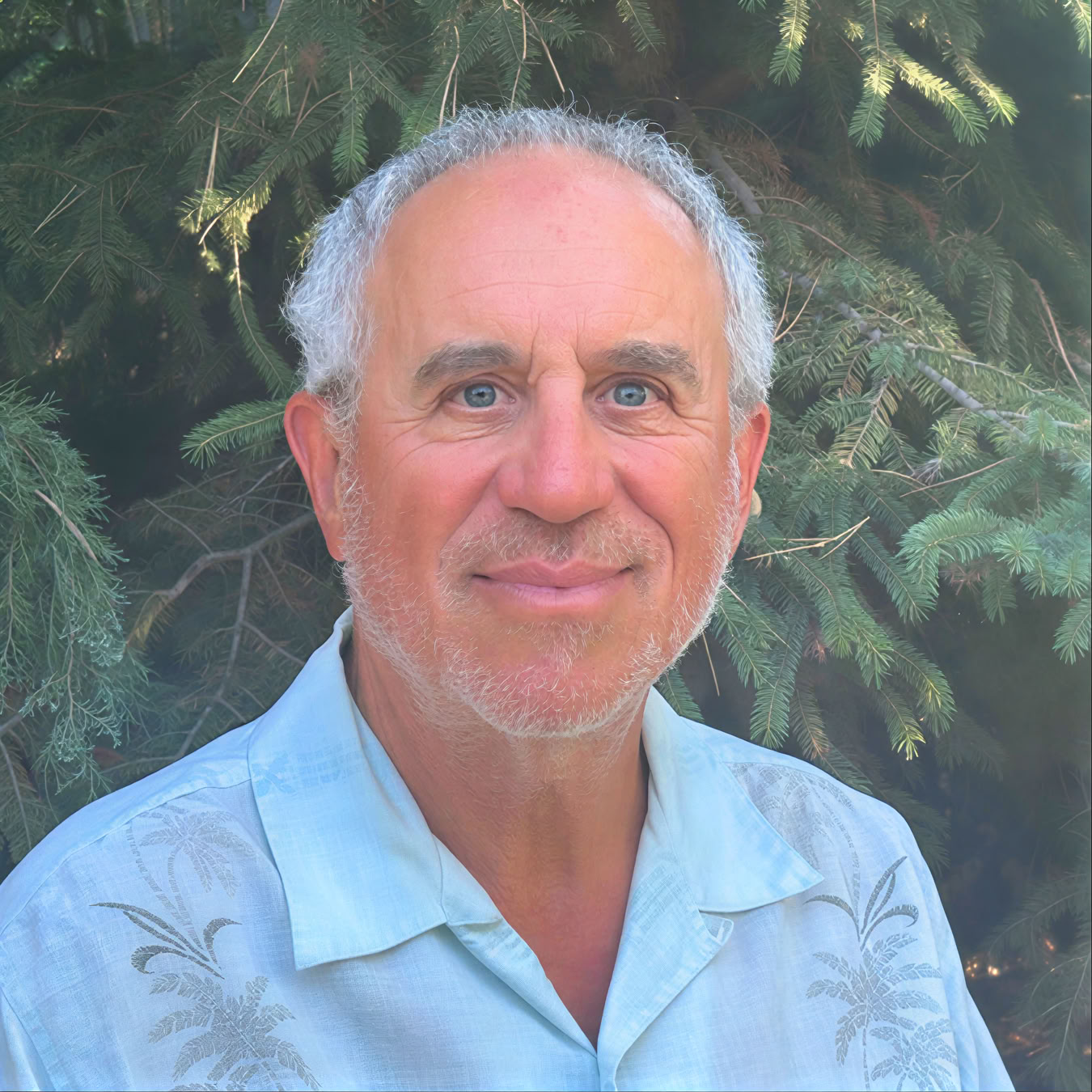 El Gran Silencio: Atención Plena y No Dualidad en la Naturaleza