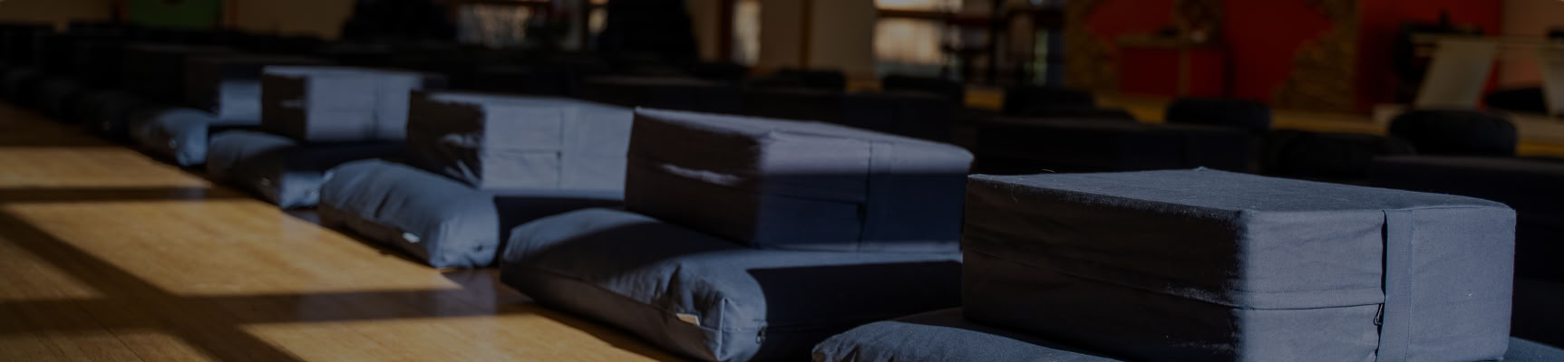 Mindfulness Dentro y Fuera del Cojín