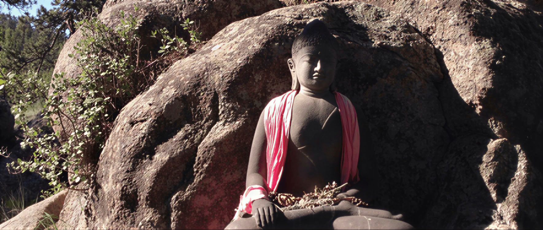 Proclamando la cordura básica: Viviendo el camino del Bodhisattva