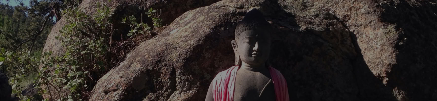 Proclamando la cordura básica: Viviendo el camino del Bodhisattva