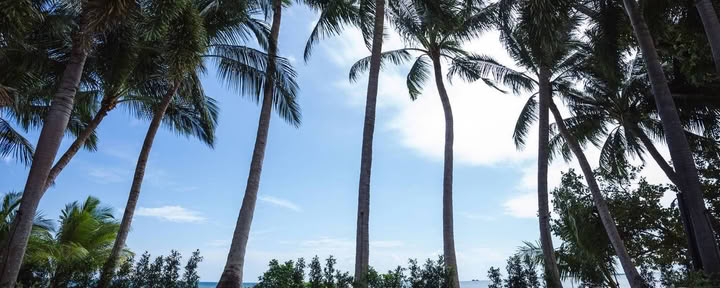 Retiro Mágico de Yoga en Samahita Retreat, Koh Samui, Tailandia