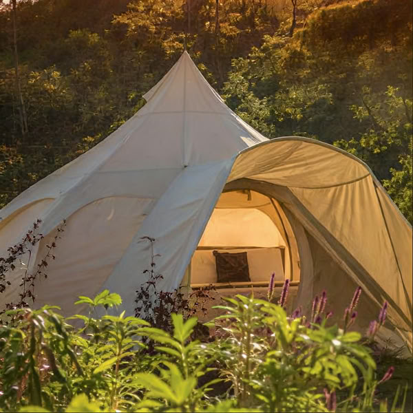 Intimo Retiro de Ayahuasca | Kinkara, Costa Rica | 11 - 17 de julio de 2026