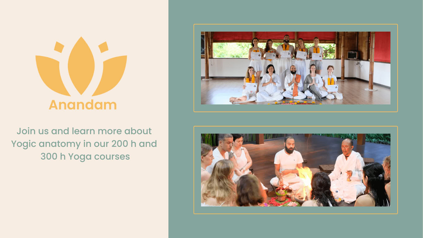 50 horas de formación en Pranayama Alemania
