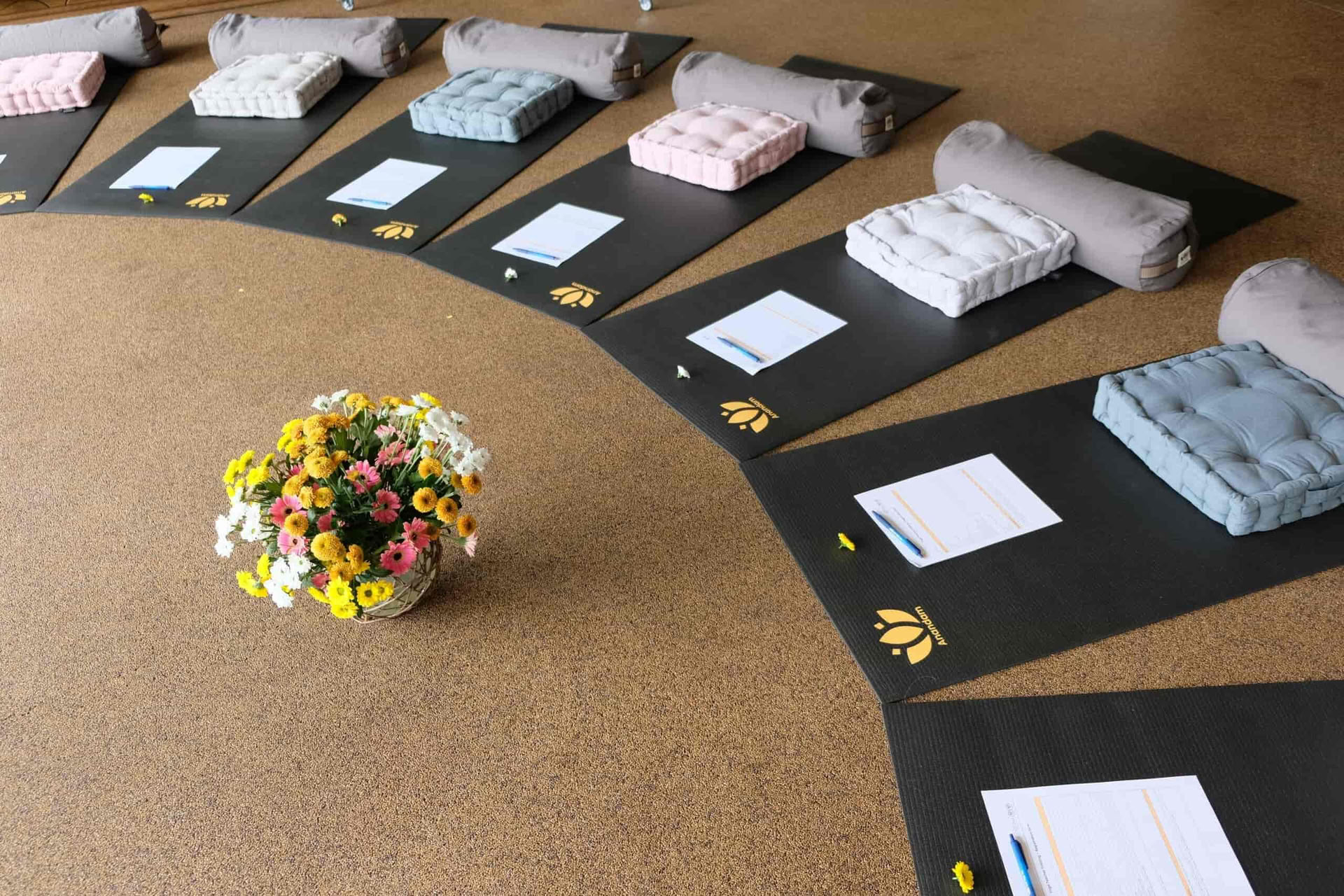 Formación de Profesores de Yoga de 200 horas en Alemania