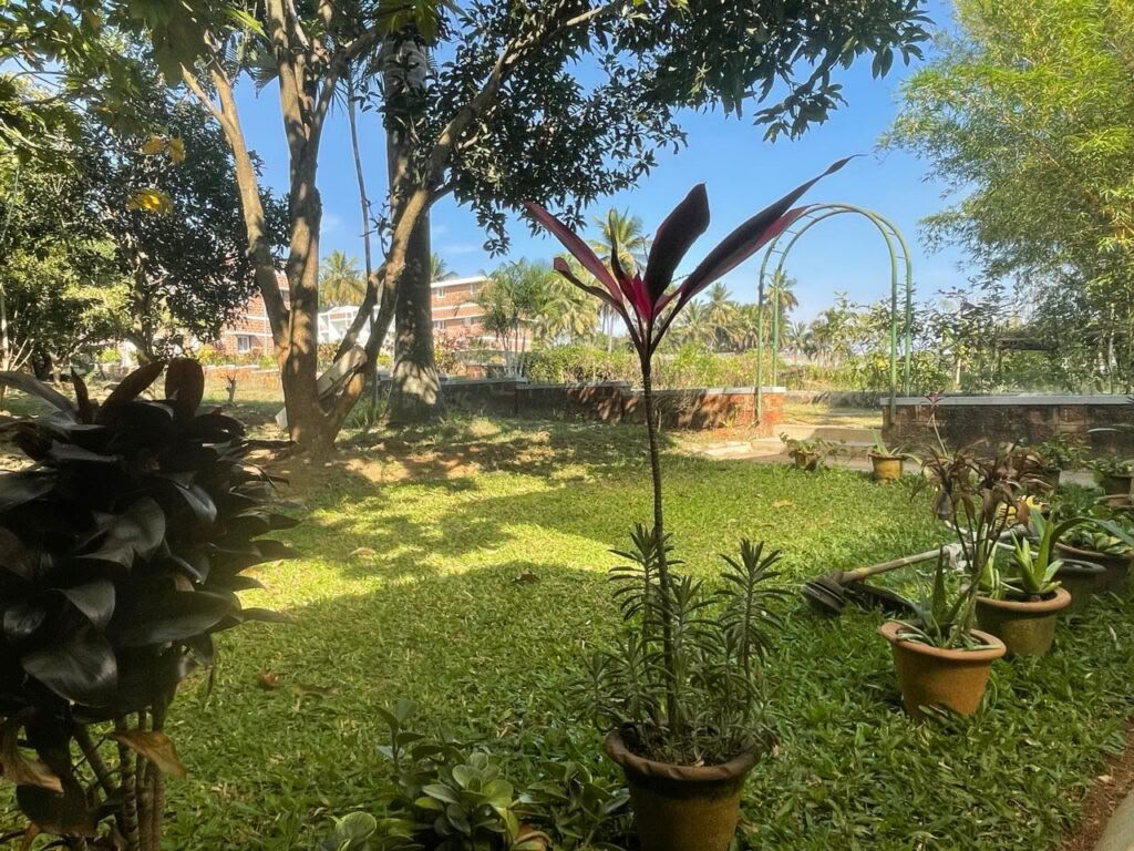Brahma Mouna SILENCE & WELLNESS retiro