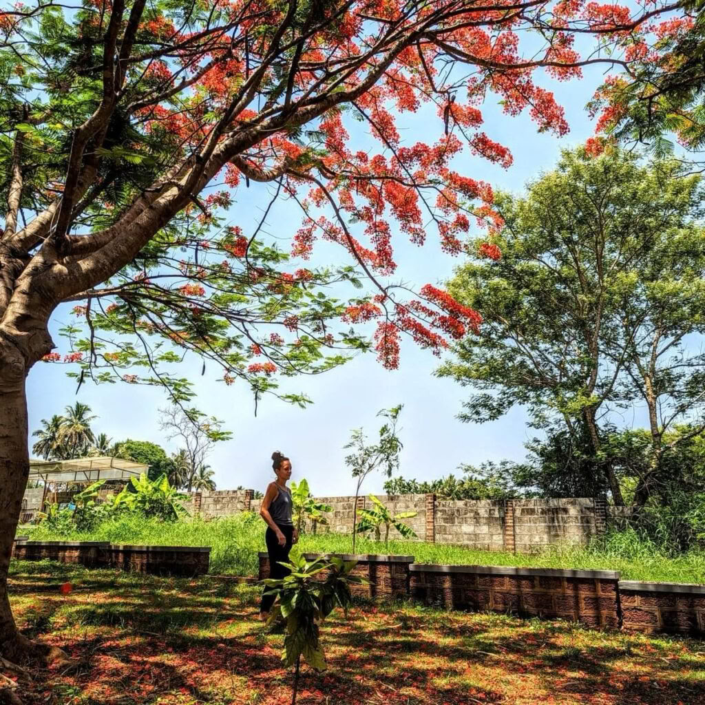 Curso de Yoga Sutra de Patanjali