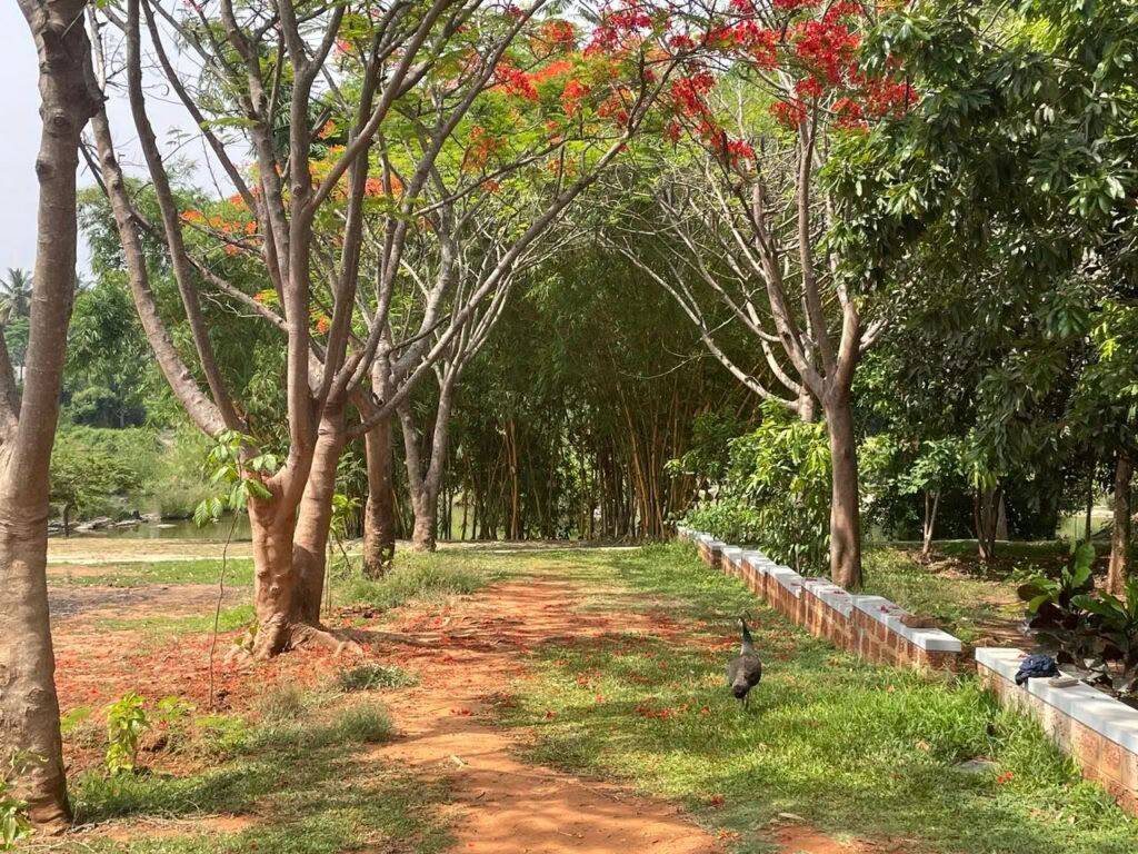 Curso de Yoga Sutra de Patanjali