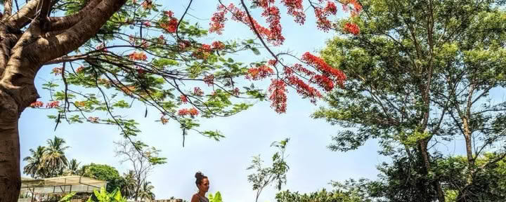 Curso de Yoga Sutra de Patanjali