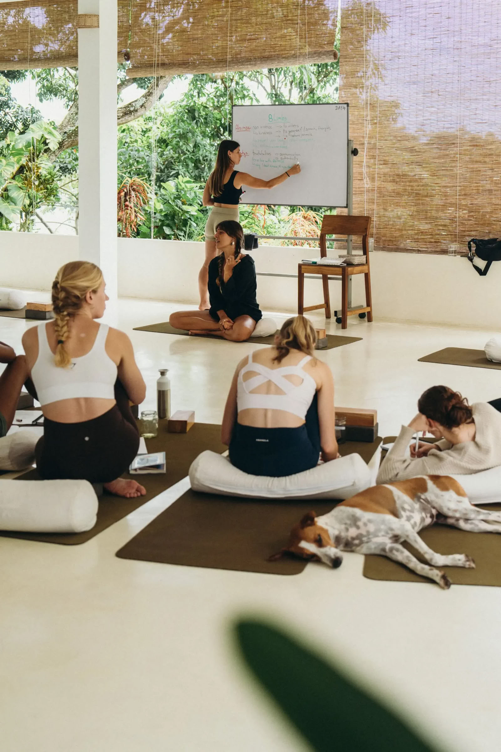 Formación de Profesores de Vinyasa + Yin Yoga de 100 Horas