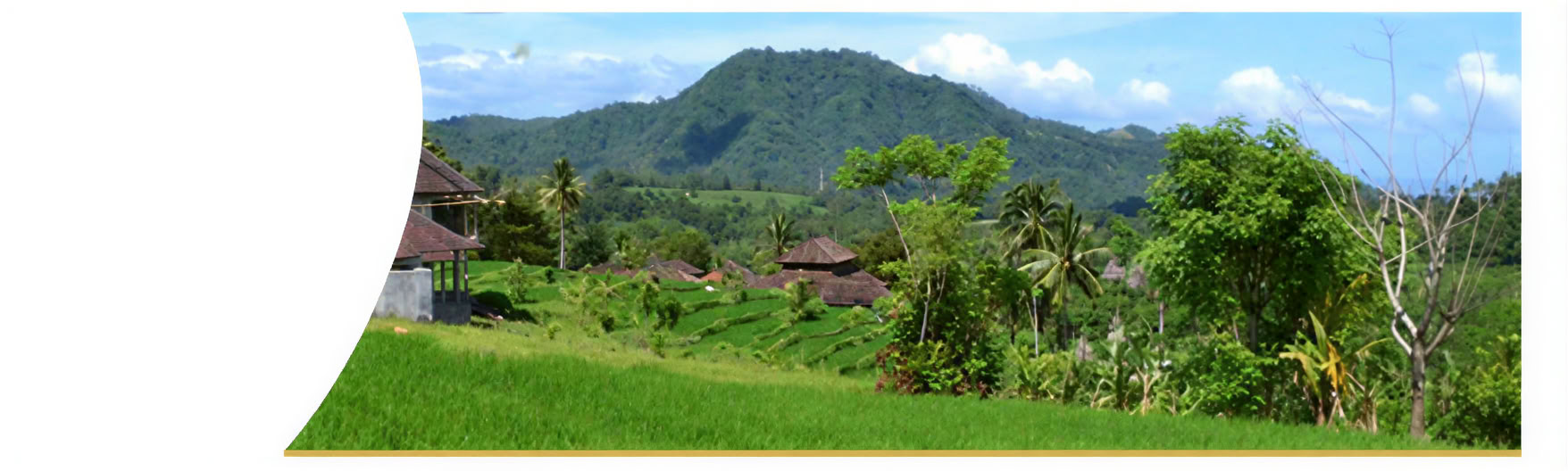 Semana de sanación en Bali
