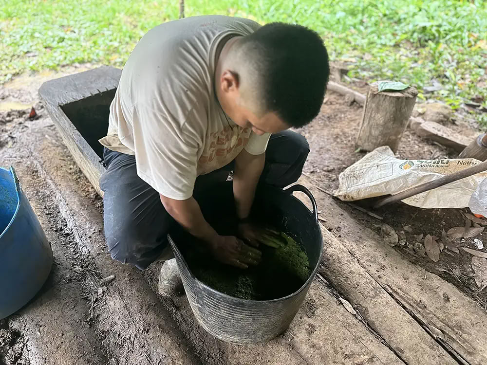 Medicine Maker Ayahuasca Retiro With Taita Miguel