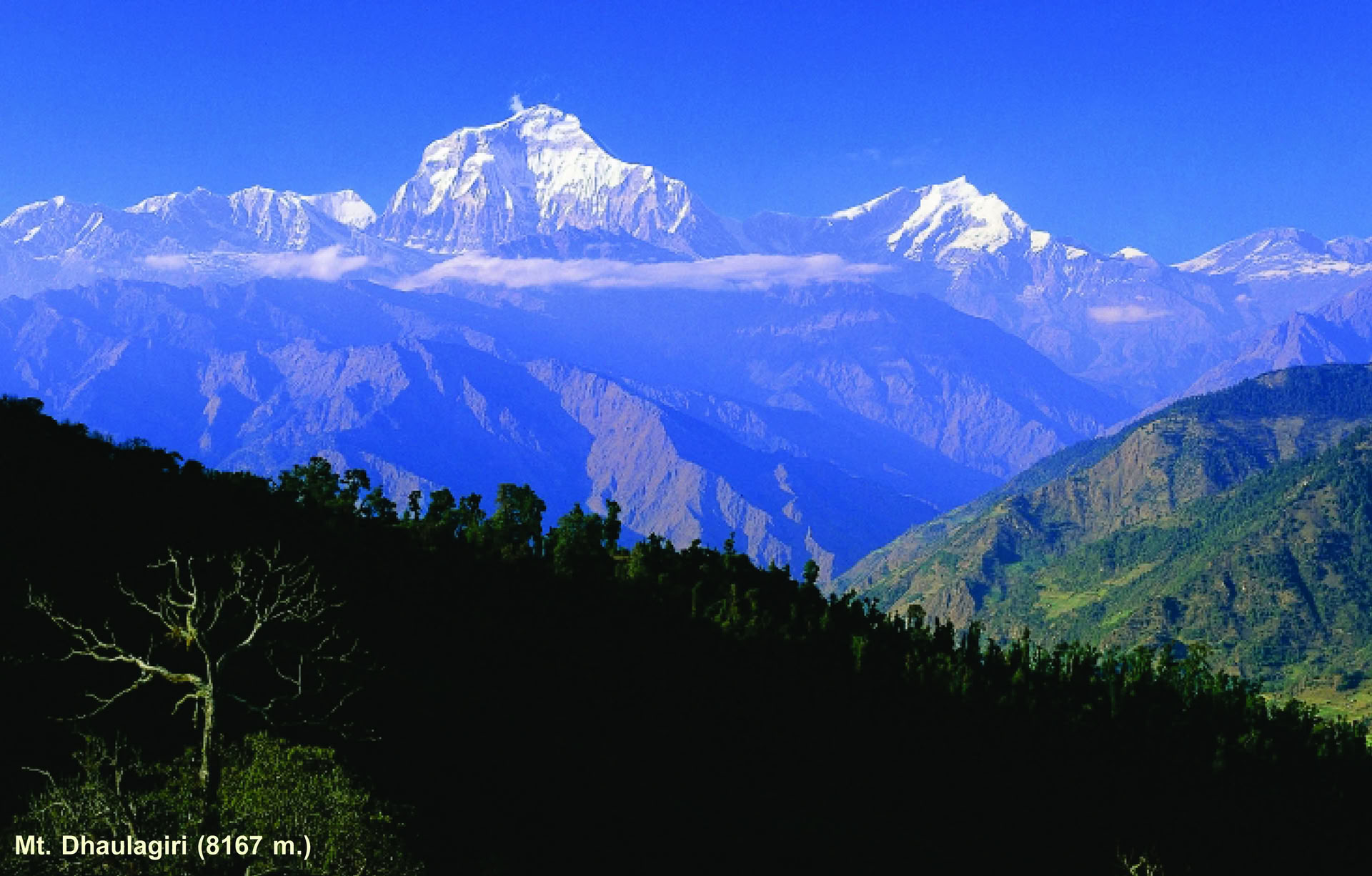 Machhapuchhre Trek y Explorando el Himalaya 11 Días