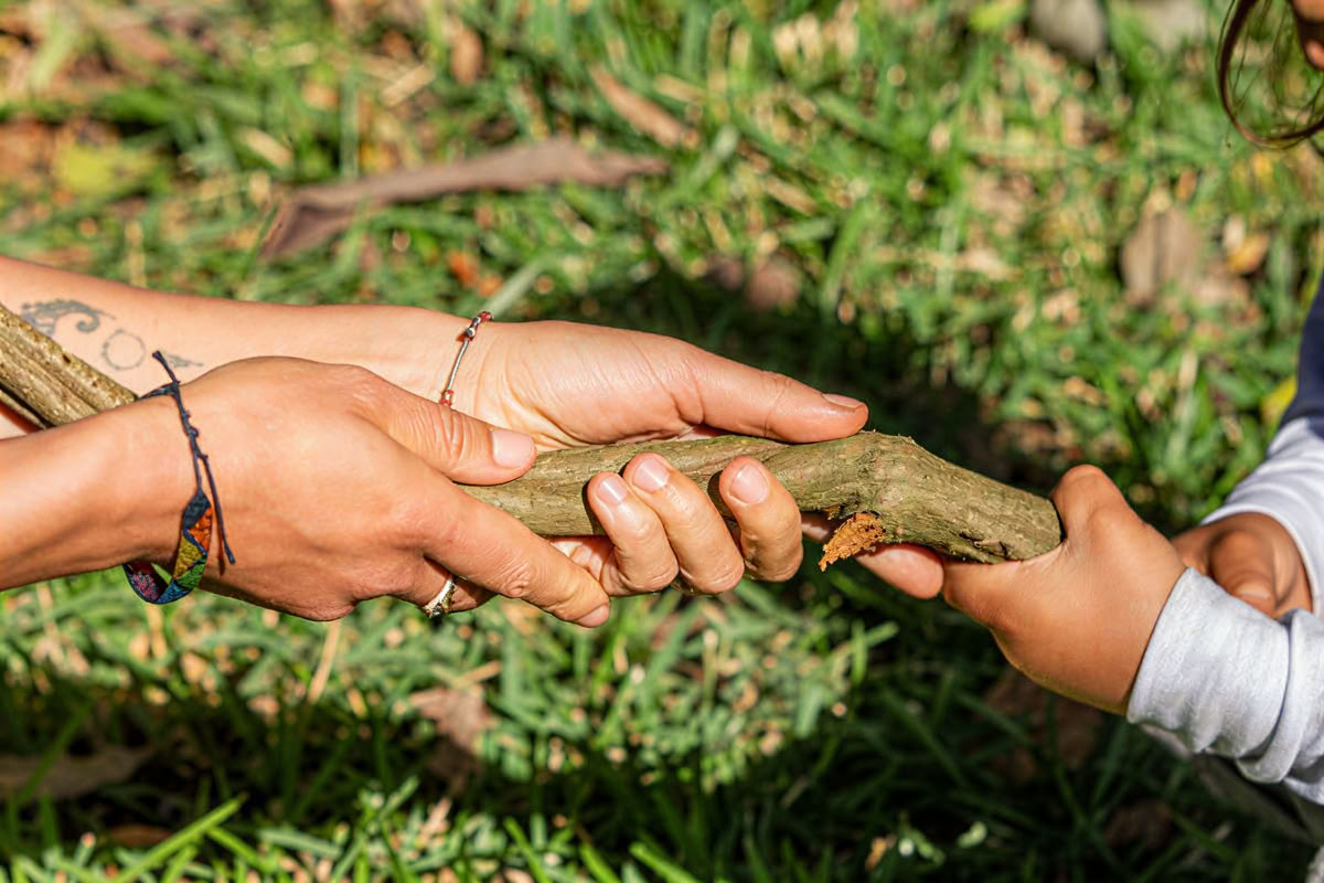Ceremonias de medicina vegetal en Perú