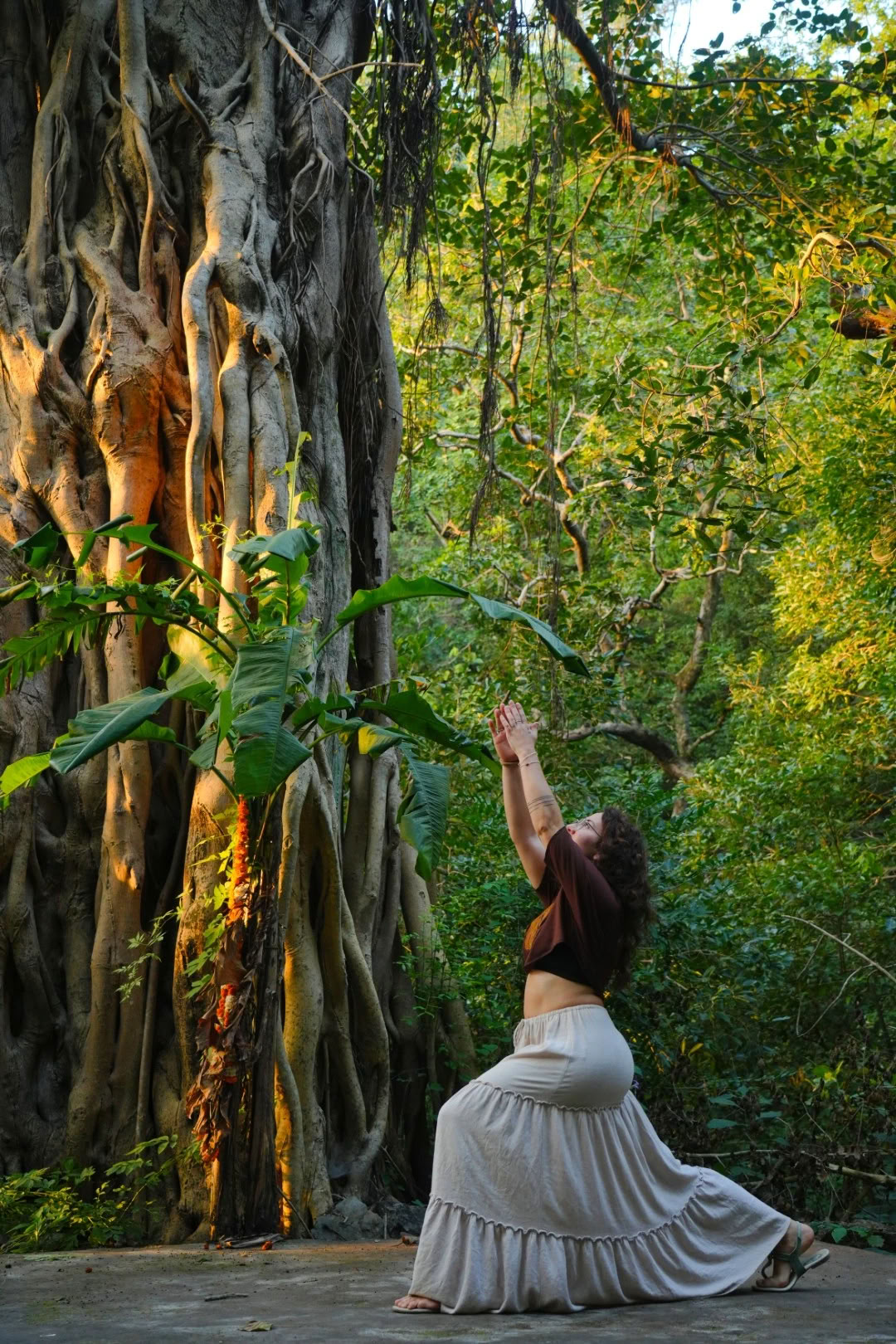 14 días Retiro de Yoga en Rishikesh, India