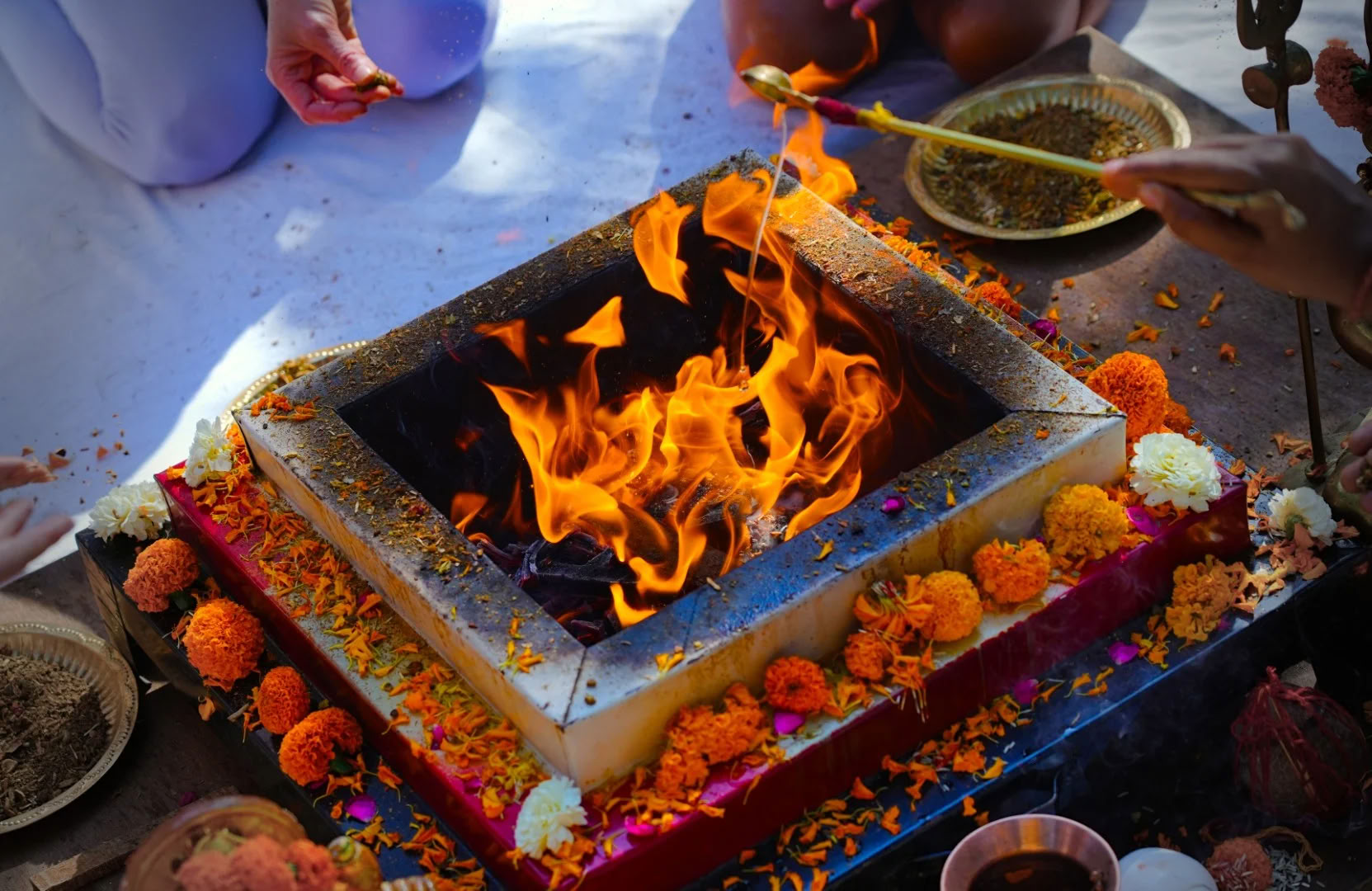 14 días Retiro de Yoga en Rishikesh, India