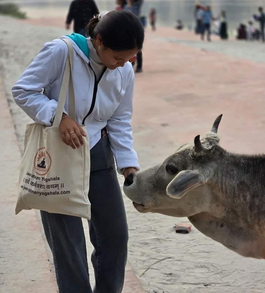 14 días Retiro de Yoga en Rishikesh
