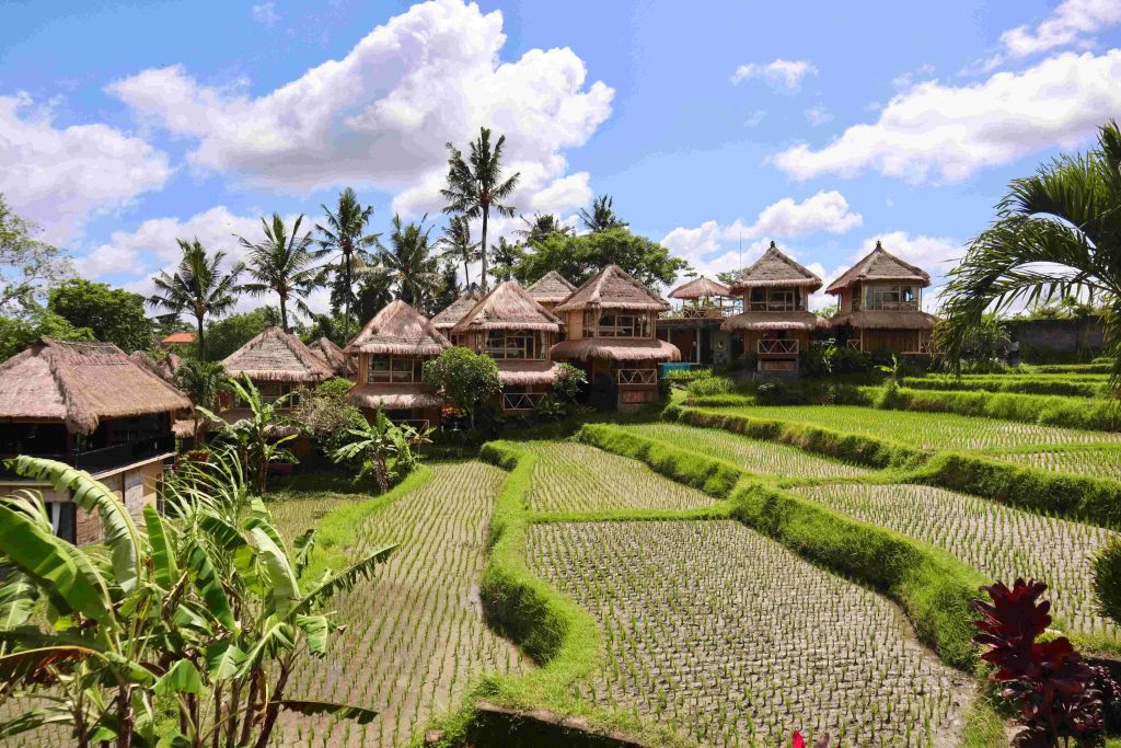 Formación de Profesores de Yoga de 200 Horas Ubud, Bali | Curso RYT 200 – 17 ene - 6 feb