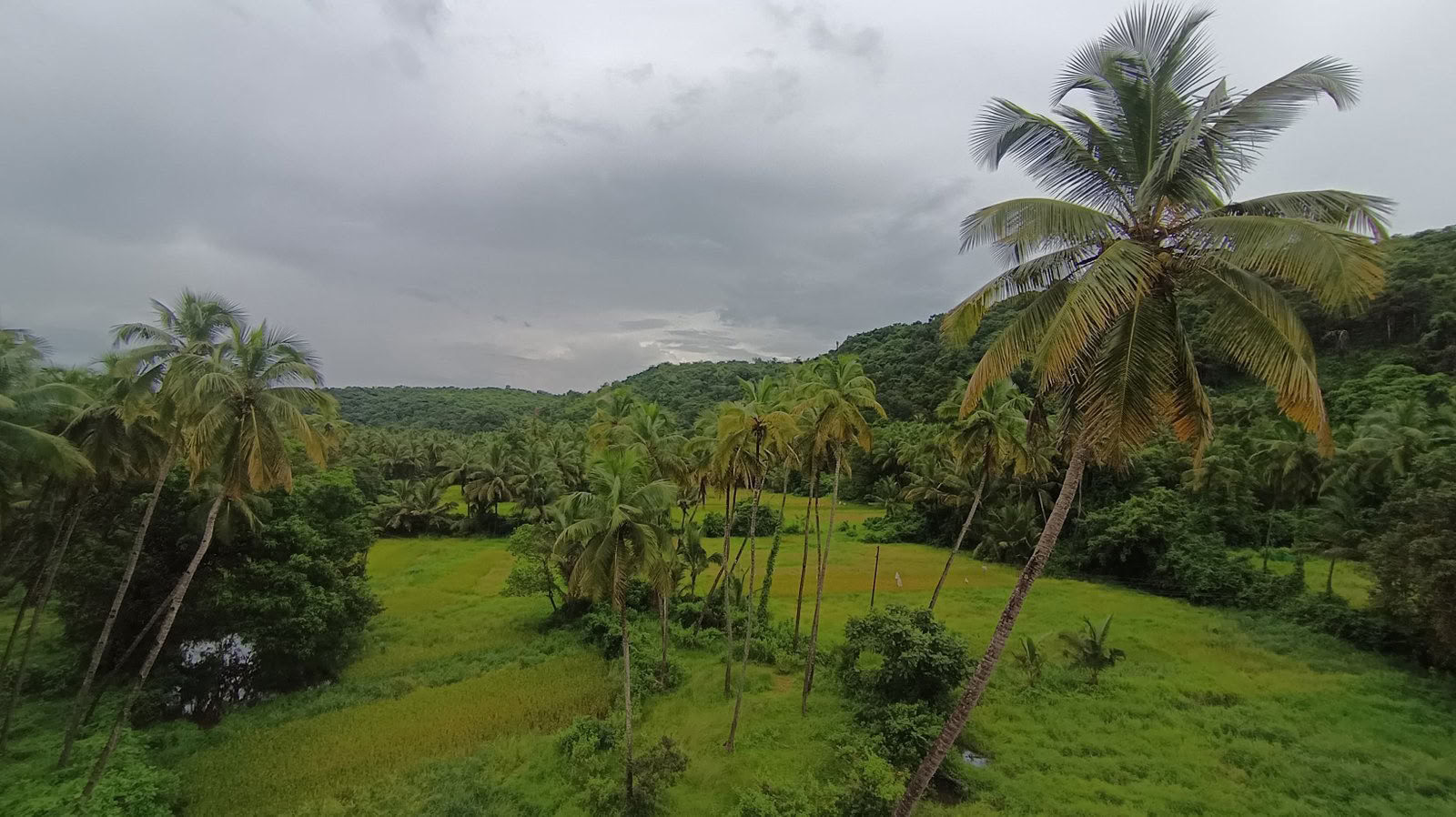Curso de Formación Avanzada de Profesor de Tantra y Kundalini Yoga de 100 Horas en Goa, India