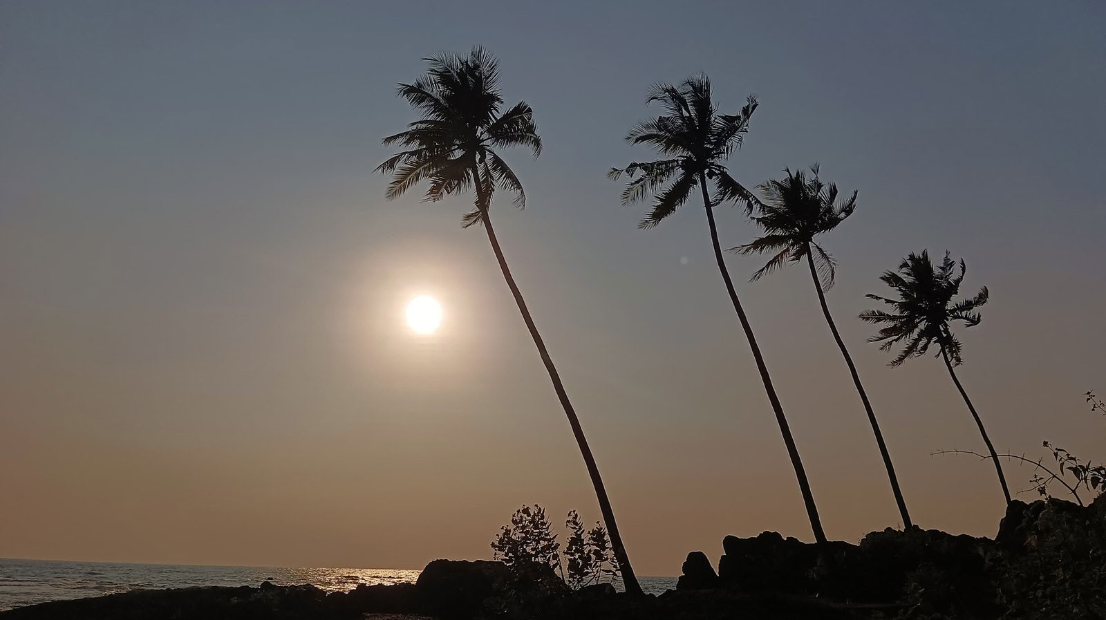 Curso de Formación Avanzada de Profesor de Tantra y Kundalini Yoga de 100 Horas en Goa, India