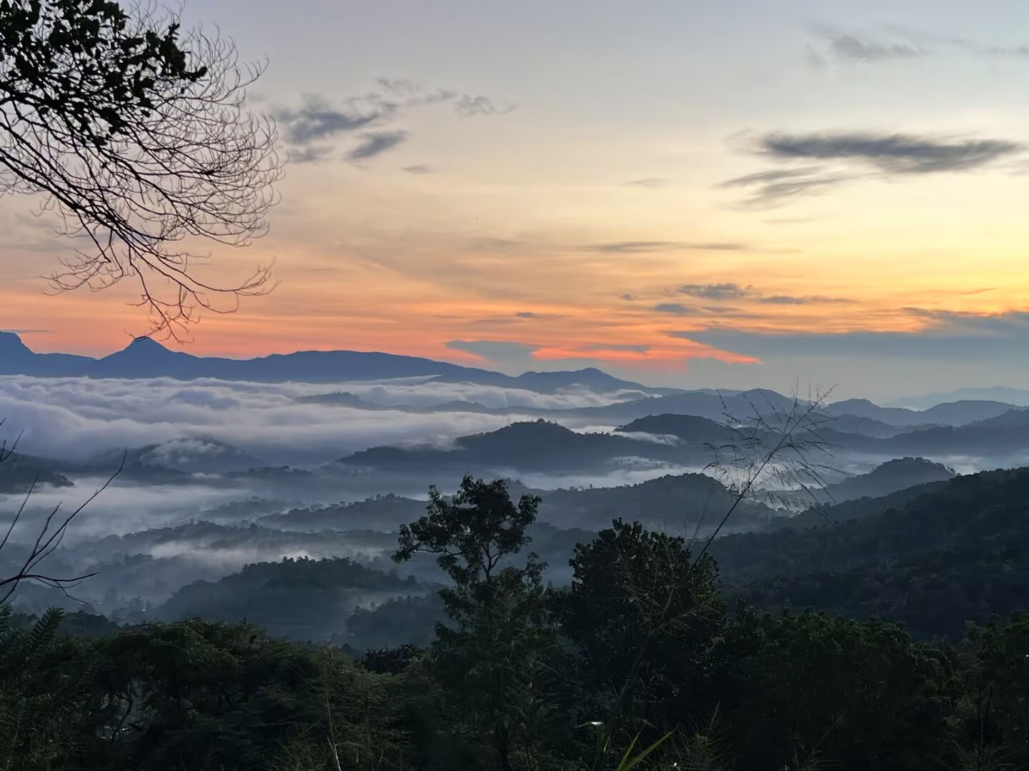 Yoga, viaje y Ayurveda en Sri Lanka: una aventura para el alma