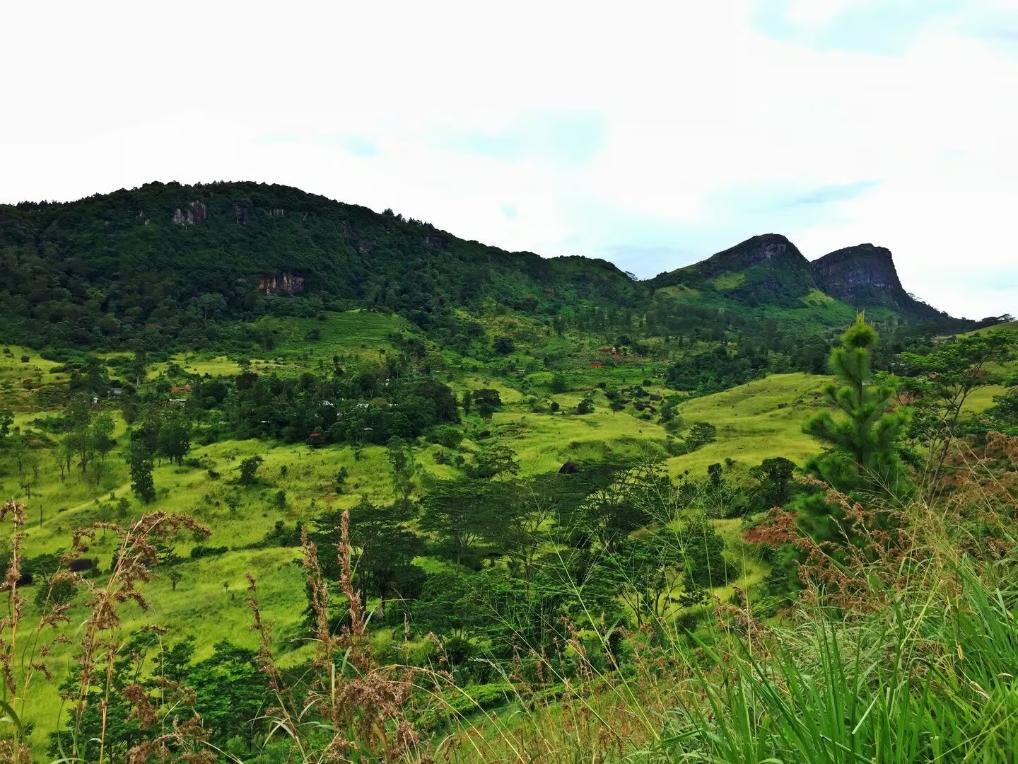 Yoga, viaje y Ayurveda en Sri Lanka: una aventura para el alma