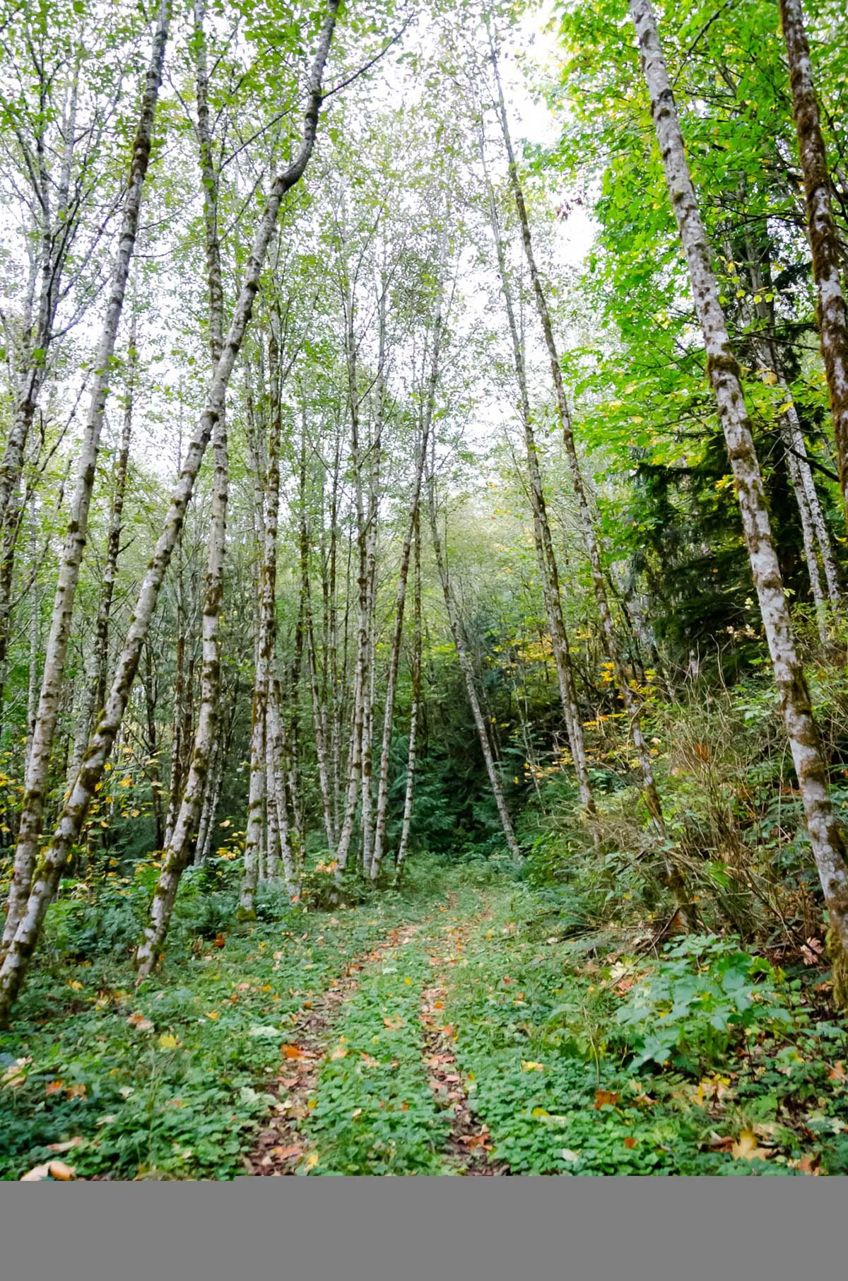 Retiro de Yoga y Meditación del Equinoccio de Otoño