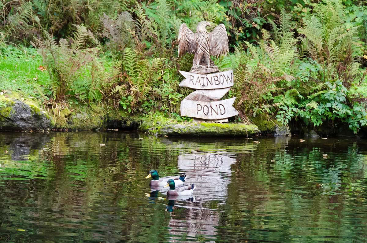 Retiro de Yoga y Meditación del Equinoccio de Otoño