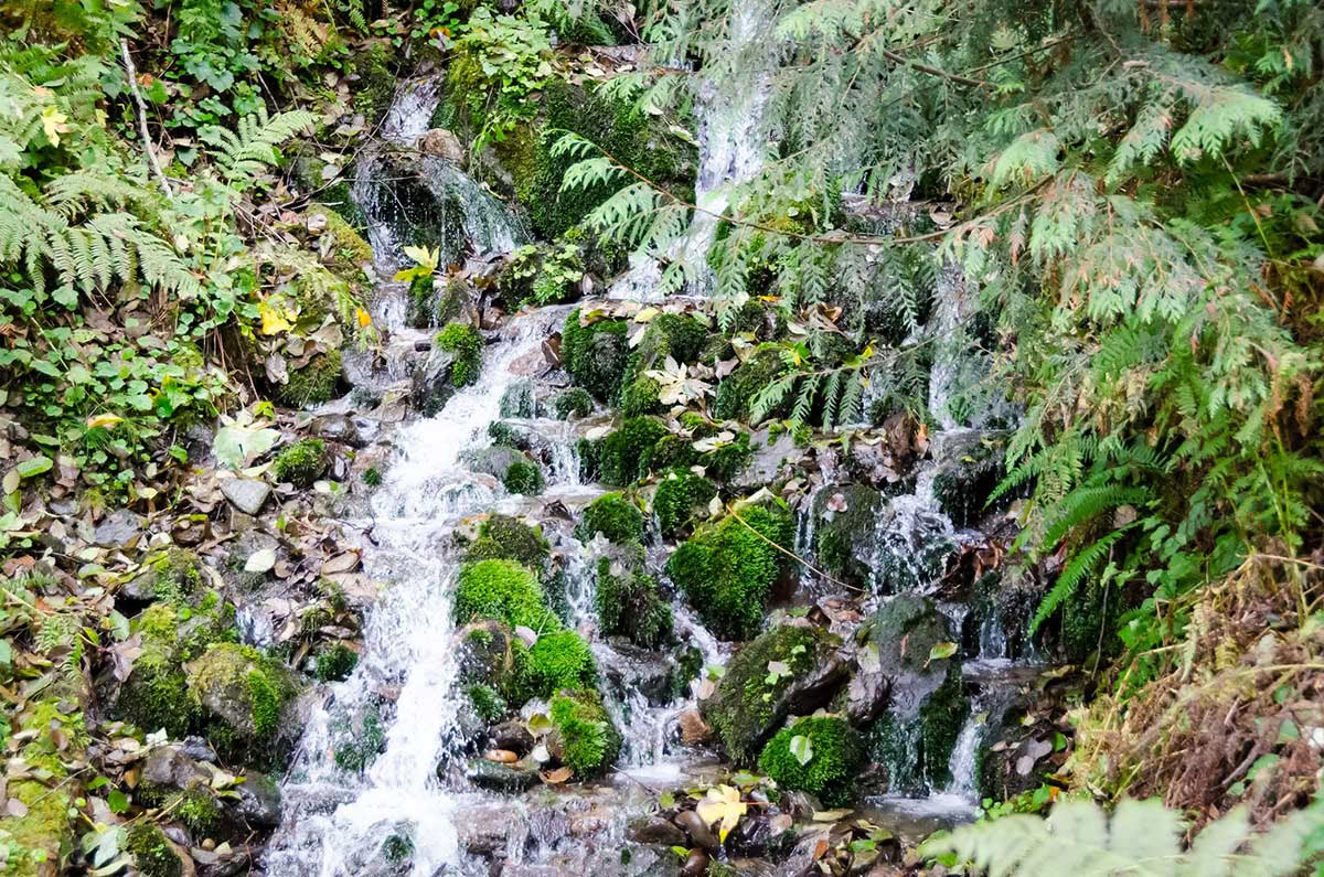 Detox Retiro – Limpieza de Verano
