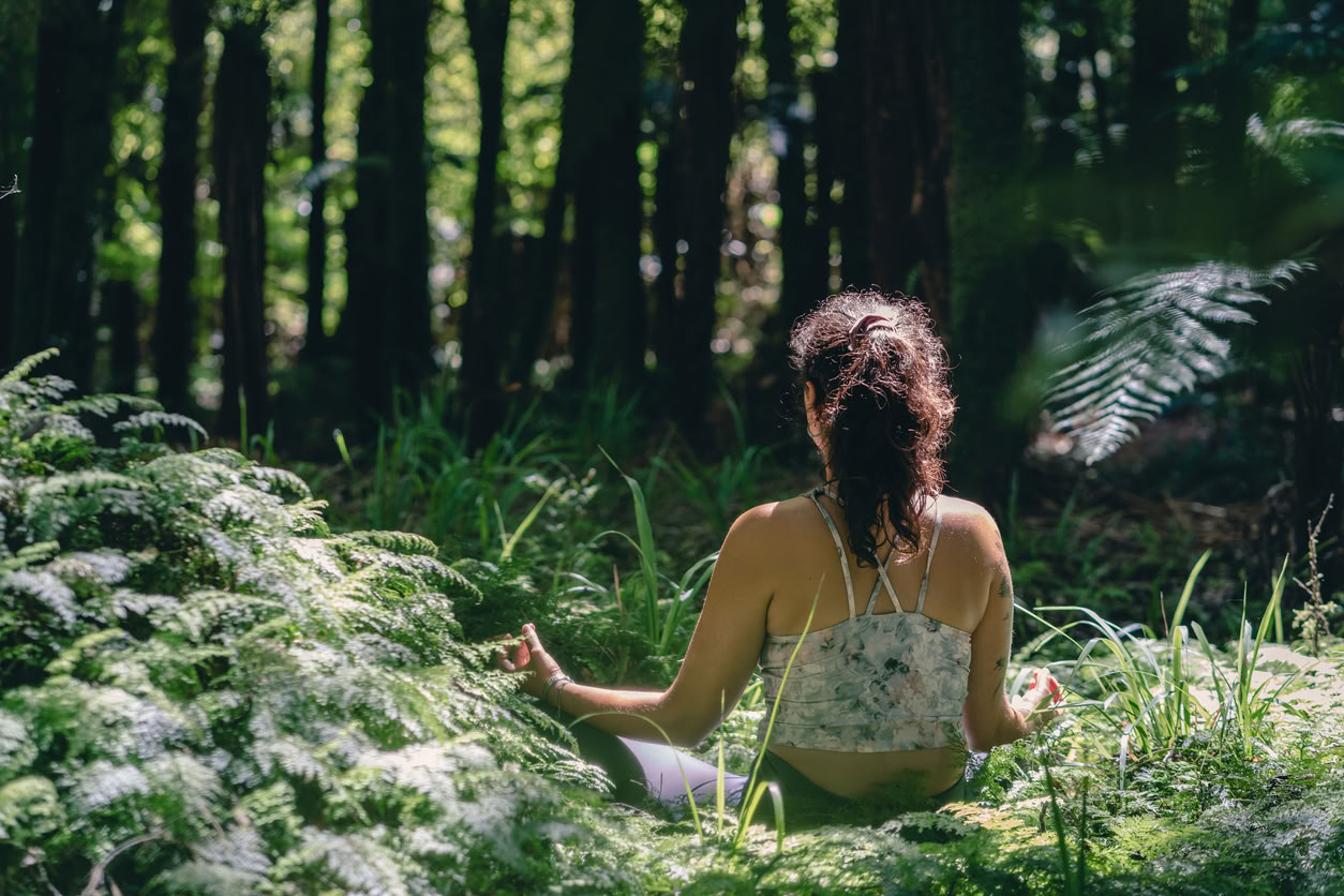 Detox Retiro – Limpieza de otoño