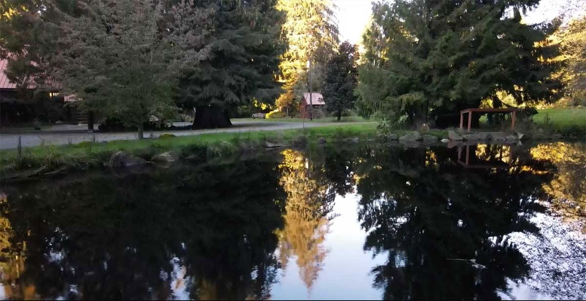 Detox Retiro – Limpieza de otoño