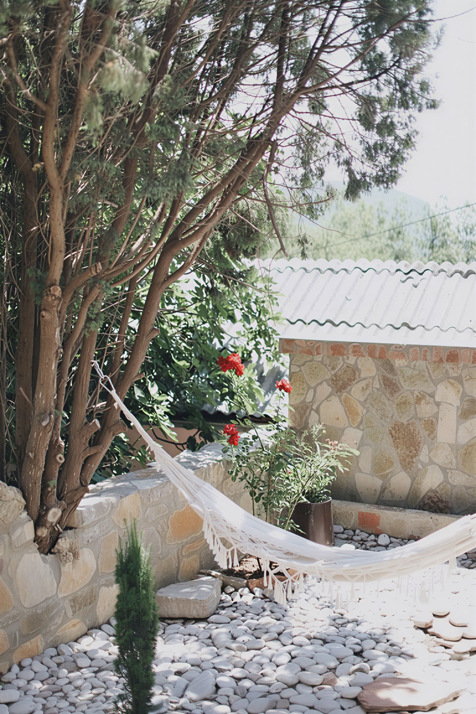 Yoga, Detox y Cocina Herbal Retiro by Dr Lemm