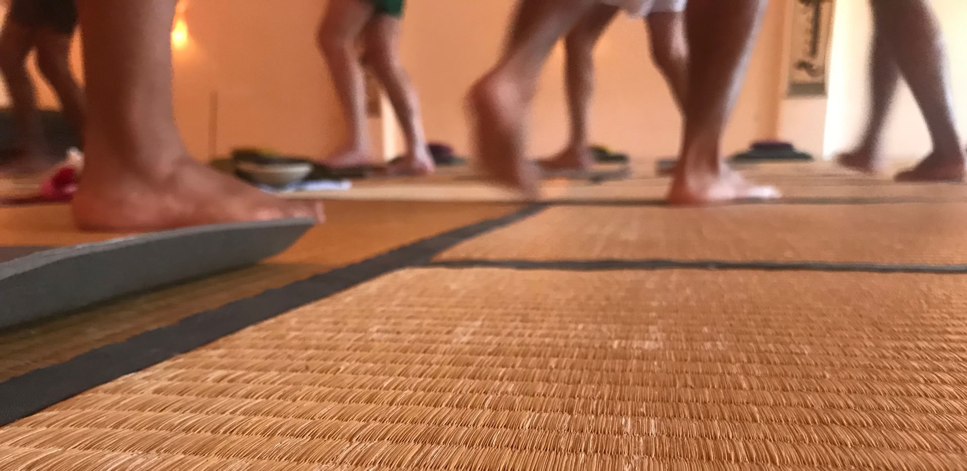 Clase de Iyengar