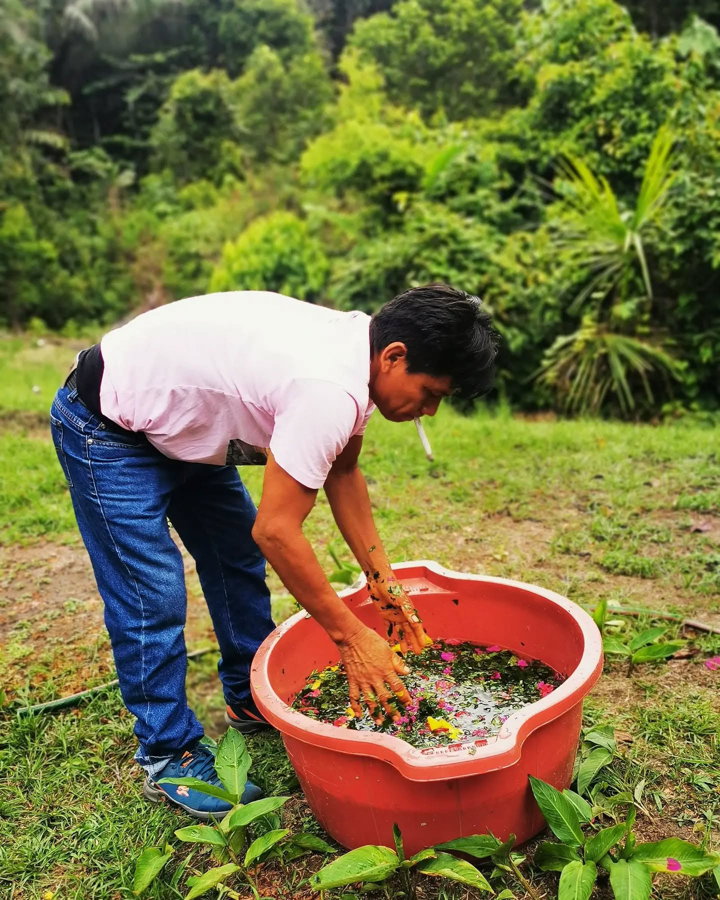 Retiro de Ayahuasca de 14 días
