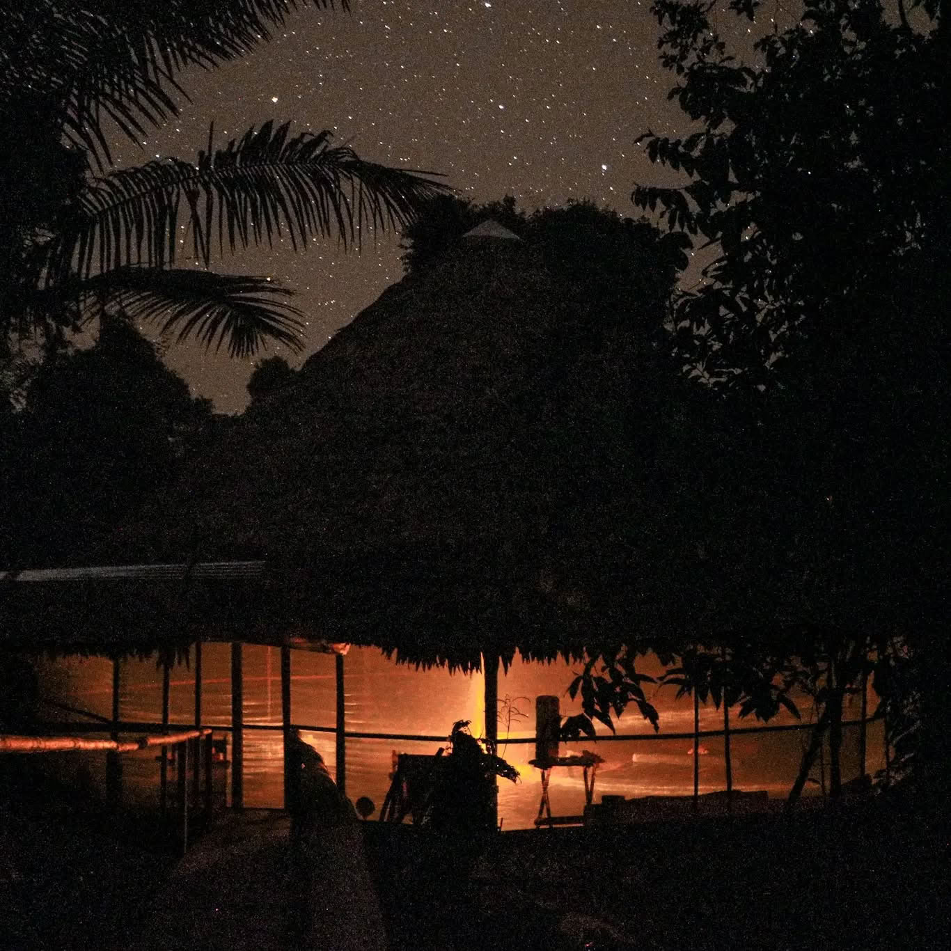 Retiro de Ayahuasca de 14 días