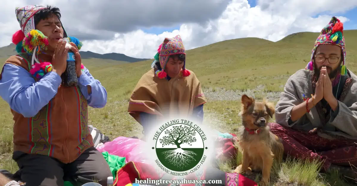 3 días Retiro de San Pedro en Perú: 2 ceremonias y conexión con la tierra