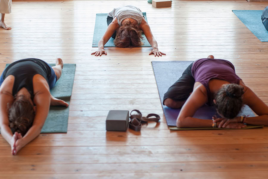 Reverencia por la vida: Retiro de yoga, mindfulness y senderismo