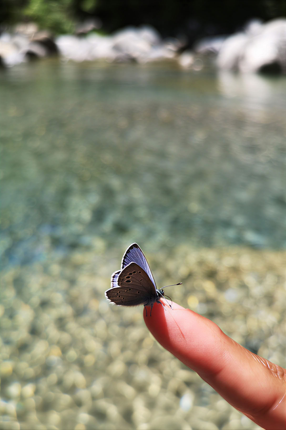 Forest Bathing: Yoga, Arte y Naturaleza Retiro
