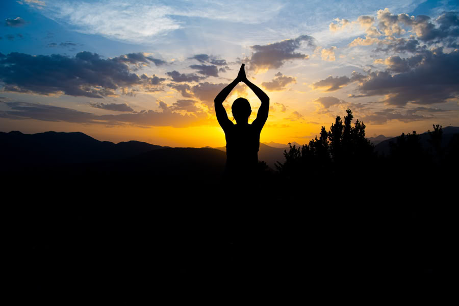 Forest Bathing: Yoga, Arte y Naturaleza Retiro