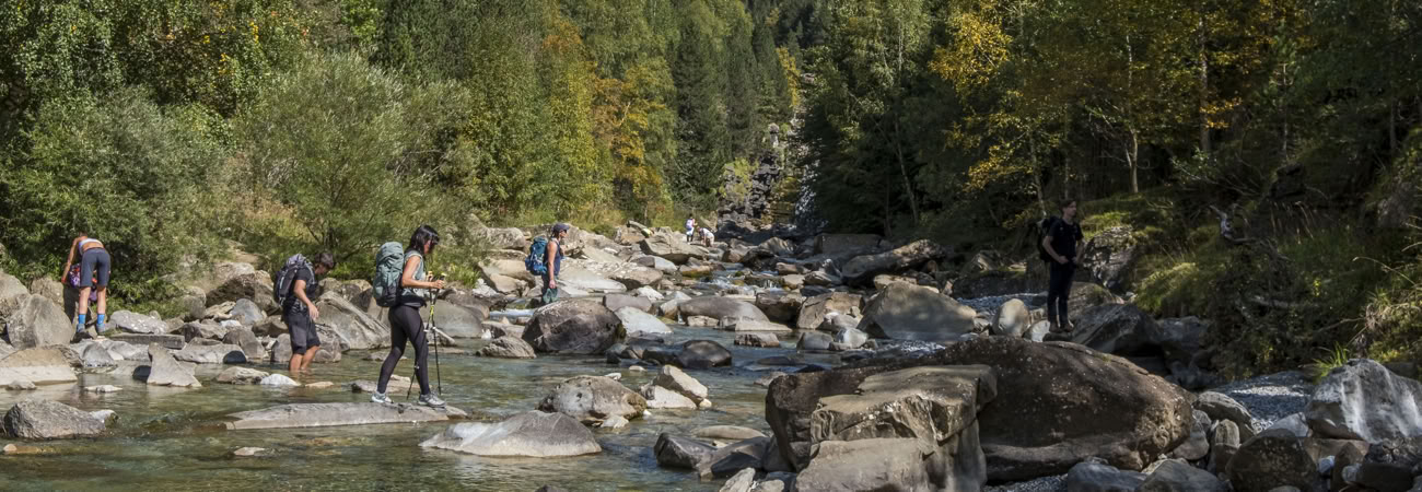 Reverence for life: Yoga, Arte y Naturaleza Retiro