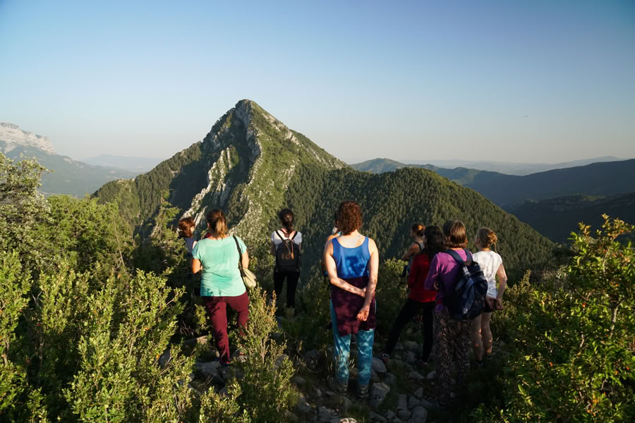Reverence for life: Yoga, Arte y Naturaleza Retiro