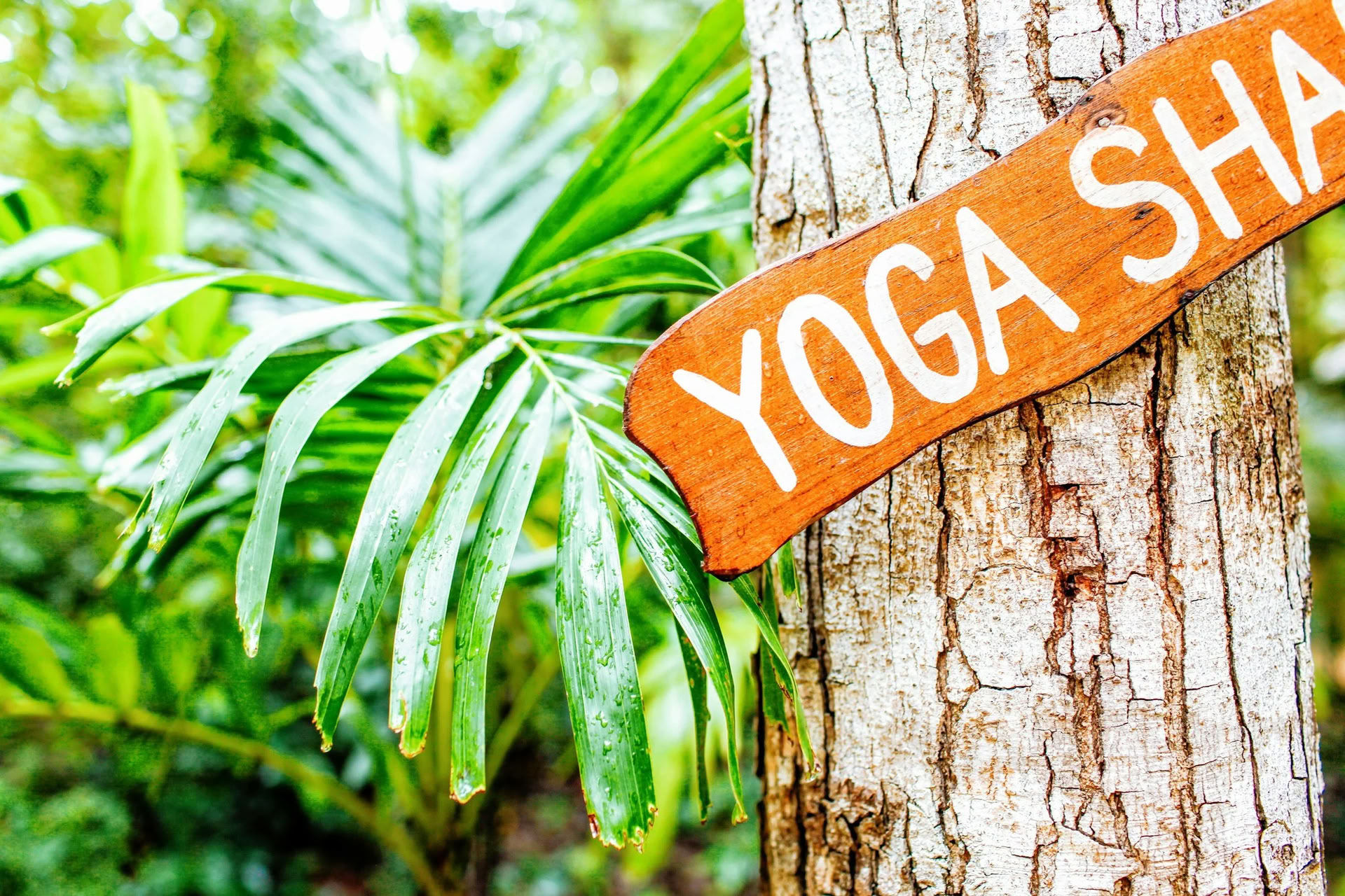 Ashtanga Yoga Inmersión Retiro