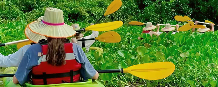 Camboya - Templos, ciclismo, cascadas, senderismo y aventura en kayak — DBC Health Retreats Europe Retiro 2024