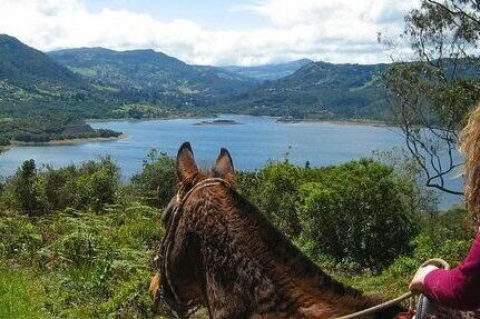 Retiro de Bienestar en Colombia