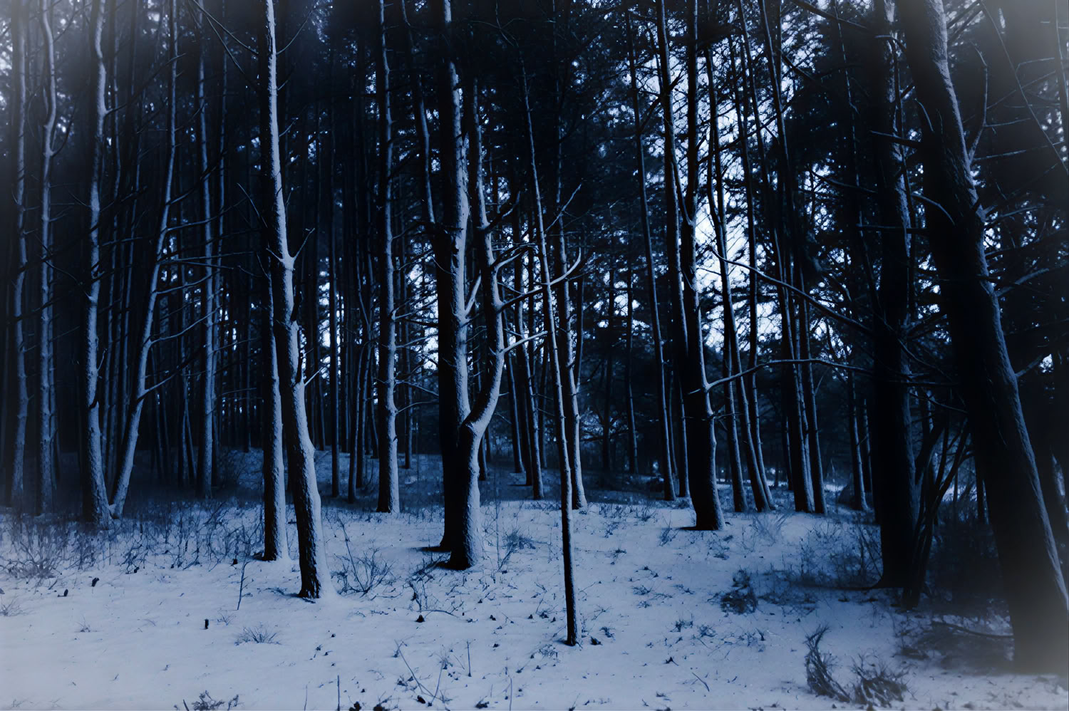 Retiro individual en la naturaleza