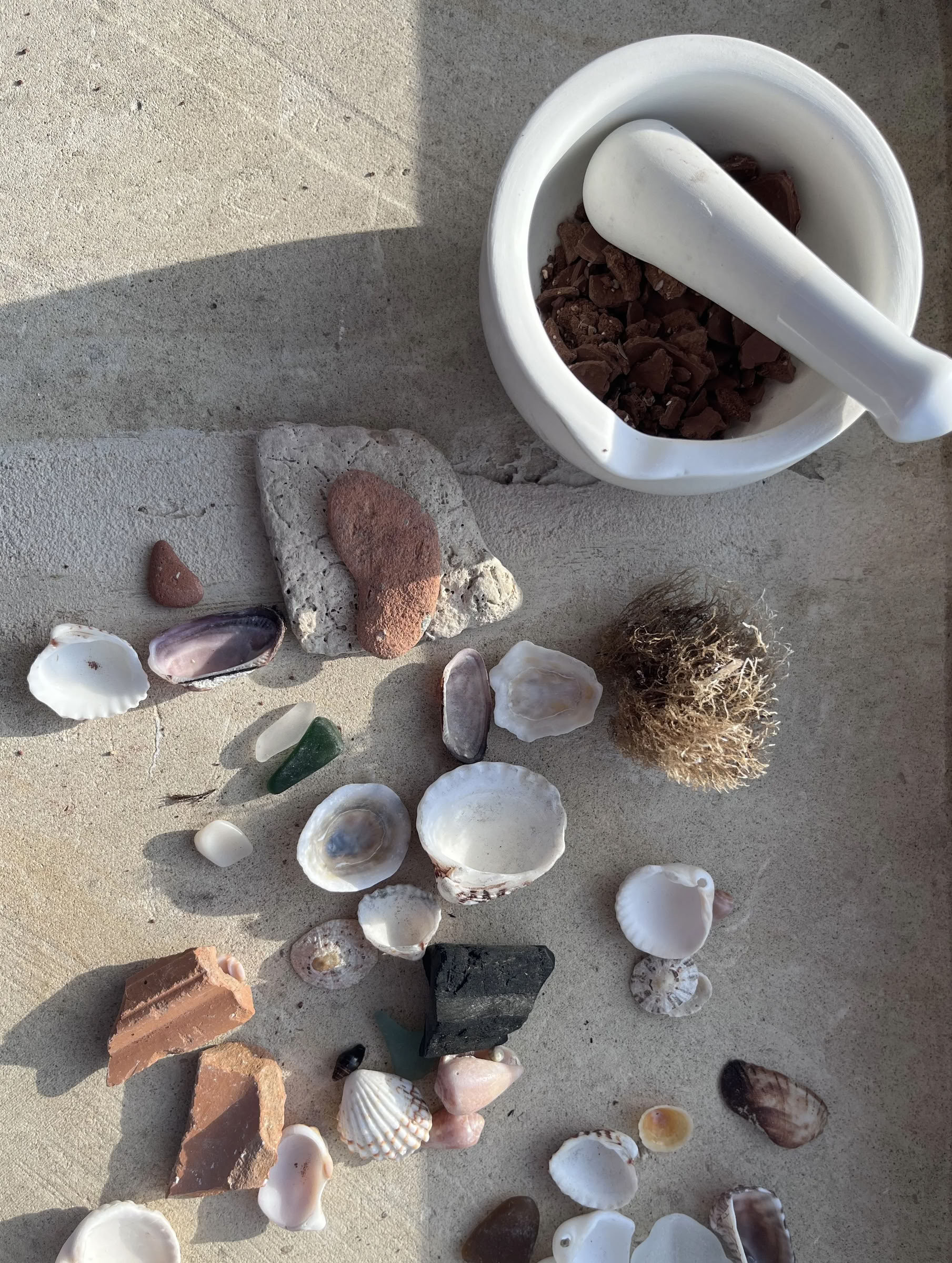 Visual Storytelling con Pigmentos Salvajes