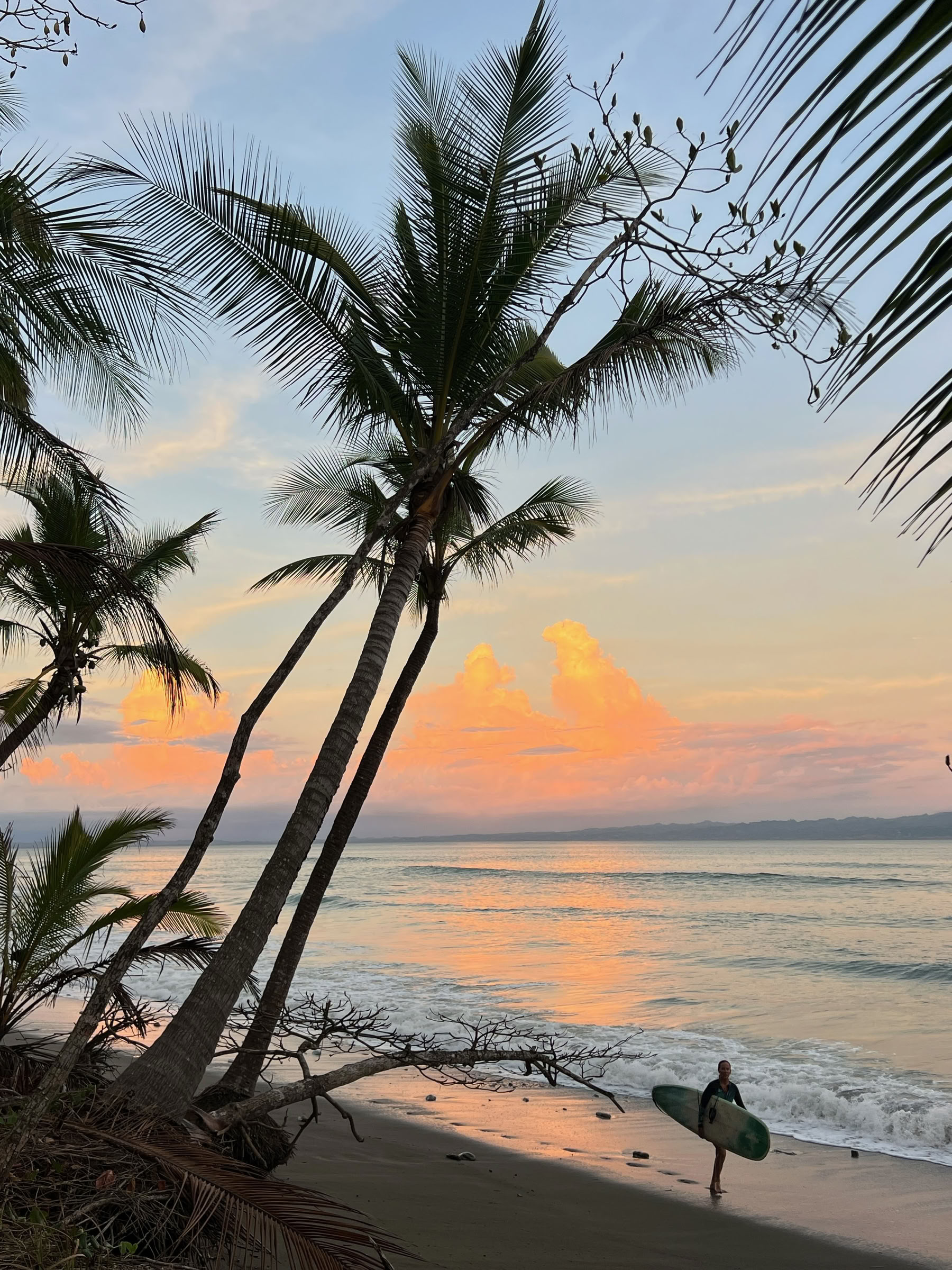 Yoga y Surf en la Península de Osa, 13-20 de marzo de 2027 — ASHTANGA MONTAUK