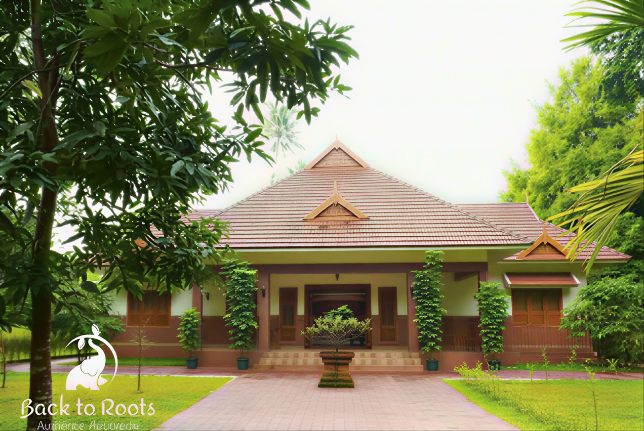 14 noches de desintoxicación en Back to Roots Ayurveda