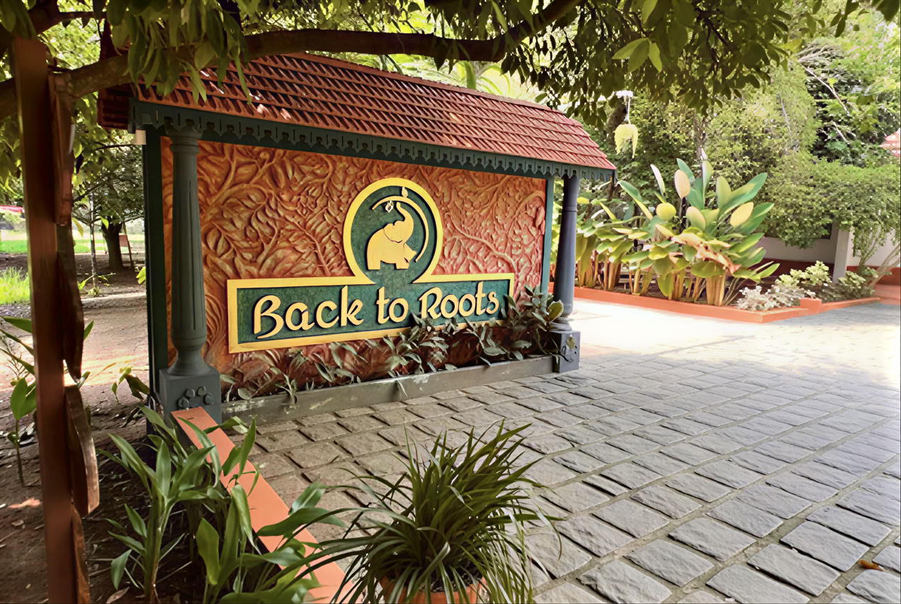 14 noches de desintoxicación en Back to Roots Ayurveda